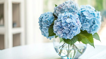 Big bunch of blue hydrangea flowers in big glass vase against white wall