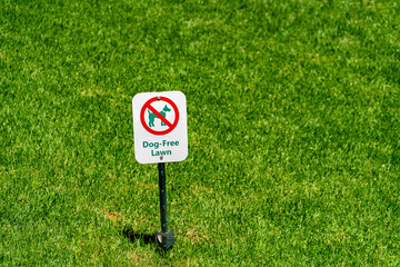 Dog free lawn sign on the grass