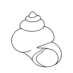 Linear sketch, outline of a sea shell. Decorative element for sea summer designs. Vector graphics.