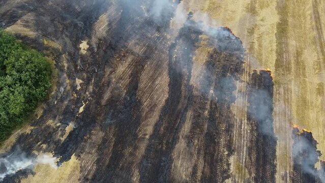 Aerial view of burning stubble with smoke in farm field. A drone captures the spread of a wildfire across parched fields, smoke billowing into the air