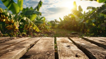 Banana Grove Tranquility: A Wooden Table, Empty with Abundant Copy Space, Placed over a Bananas Field Background, Eliciting Thoughts of Fresh Harvest and Agricultural Serenity.

