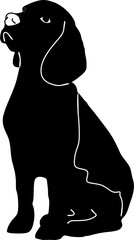 black labrador retriever