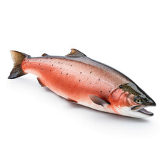 Salmon isolated on white background