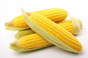 Ripe and juicy corn cobs with vibrant yellow kernels, displayed on a white background