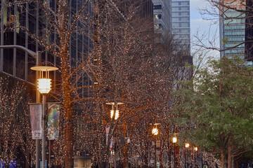 都心建築探訪　東京駅丸の内