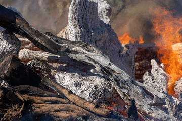 Dead Logs in Control Burn Fire Pile