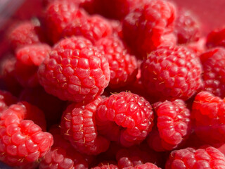close up of raspberries