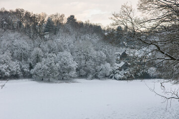 Fairy snowy forest in fog in beautiful winter at sunrise.