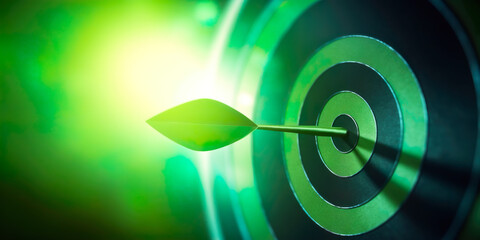 Arrow in the center of a target shooting target, green color