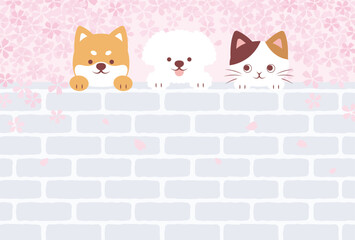 spring vector background with cherry blossoms with dogs and a cat on a brick wall for banners, cards, flyers, social media wallpapers, etc.