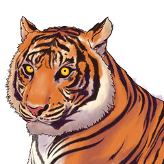tiger head vector illustration