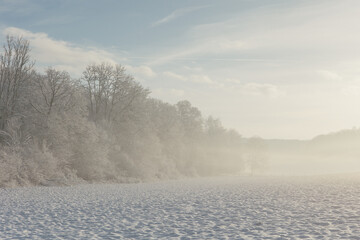Obraz na płótnie Canvas Fairy snowy forest in fog in beautiful winter at sunrise.