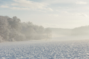 Fairy snowy forest in fog in beautiful winter at sunrise.