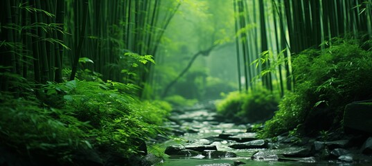 Enchanting bamboo forest displaying diverse habitat within serene woodland scenery - obrazy, fototapety, plakaty