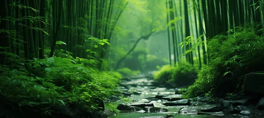 Poster Im Rahmen Enchanting bamboo forest displaying diverse habitat within serene woodland scenery © Ilja