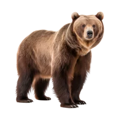 Keuken spatwand met foto Brown bear full body isolated on transparent background © The Stock Guy