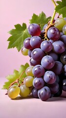 Bunch of grapes fruit on pink background