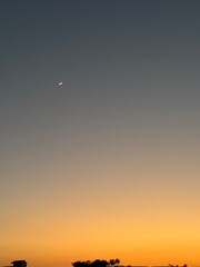 sunset in the city