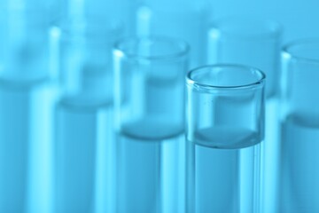 Laboratory analysis. Many glass test tubes on light blue background, closeup