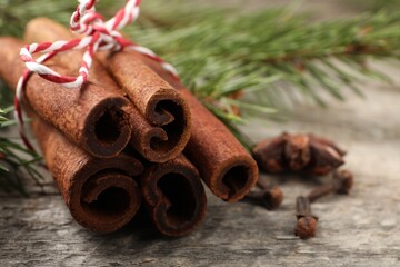 Different spices. Aromatic cinnamon sticks and clove seeds on wooden table, closeup