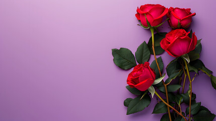Red roses flower on purple background. Copy space. Soft purple Flower frame. for greeting card, celebrate, valentine. Top view