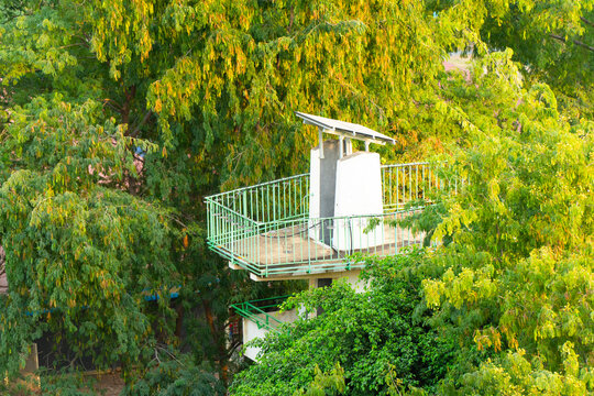 white house in the garden