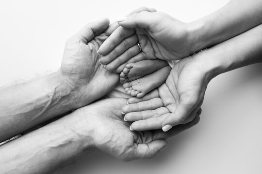 The palms of the father, the mother are holding the foot of the newborn baby. Feet of the newborn on the palms of the parents. Studio macro black and white photo of a child's toes, heels and feet.