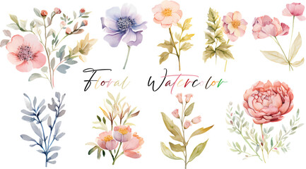 A very beautiful collection of watercolor flowers