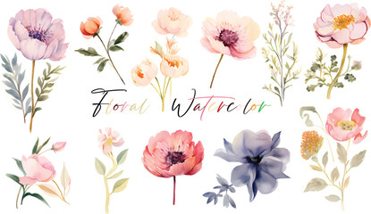 A very beautiful collection of watercolor flowers