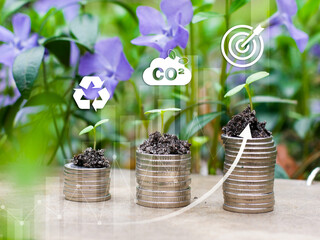 Reduce CO2 emission concept in the hand for environmental, global warming,Stacks of money with...