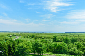 Obraz premium 霧多布湿原を歩く 