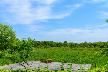 霧多布湿原を歩く
