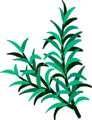 rosemary branch
