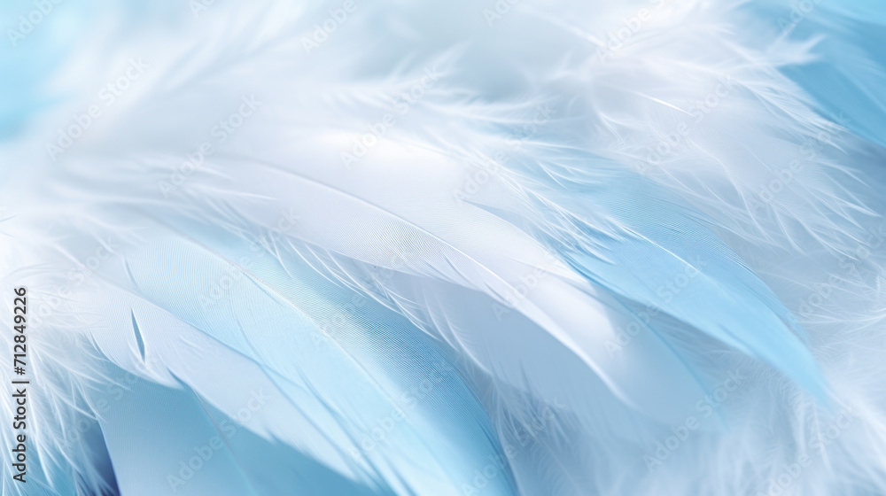Poster soft, blue feathers creating an elegant and smooth textured background.