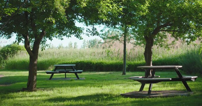 Empty polygon shape tables at park