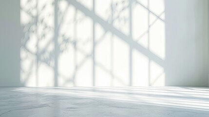 Obraz premium Realistic and minimalist blurred natural light windows, shadow overlay on wall paper texture, abstract background.