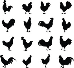 Rooster Silhouette Isolated On A White Background