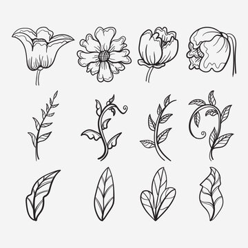 Minimalist black floral, branch, flower, and leaf vector image with hand drawn lines. Perfect for wedding invites, wall decorations, and cards.
