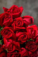 bouquet of red roses with spraing on the gray background.Vertical roses shot.