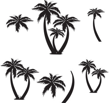 set of palm trees-set of palms|set of trees