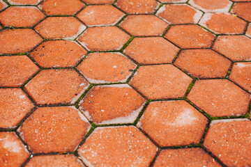 Photograph of floor texture of orange hexagons.