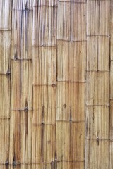 close up of bamboo texture for background                              