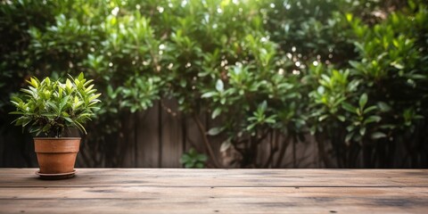 Green plants provide a background for an unfurnished wooden table in a summer backyard or patio.