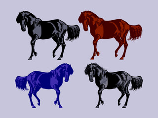 Fototapeta premium Set of standing horse silhouette animal collection vector illustration. Isolated on white background.