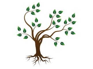 Beautiful tree vector icon on white background. Vector illustration