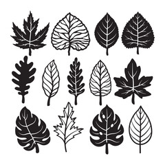 Fototapeta premium Set of leaf silhouette vector