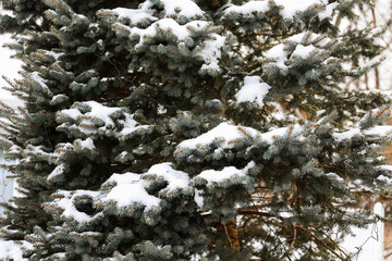 Winter wonderland scene with snow-covered vehicles and streets, creating a serene and festive atmosphere on a snowy day