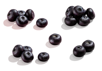 Set, Mix, Group of Blueberries berry with hard shadows close up isolated on a white or transparent png background