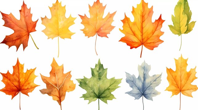 Collection of Maple leaves in watercolor style isolated. Aquarelle leaves for background. generative ai