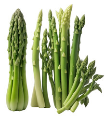Fototapeta premium Asparagus illustration for cooking
